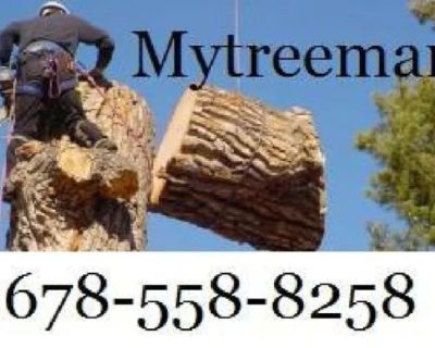 AFFORDABLE TREE SERVICE Tree Removal Service (Over 99 5 star google Atlanta & Surrounding Area