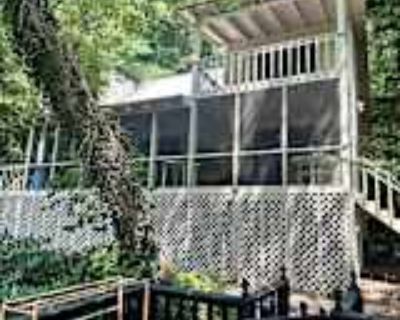 2 Bedroom 2BA 1144 ft² Pet-Friendly House For Rent in Ellijay, GA 122 S Riverview Ln