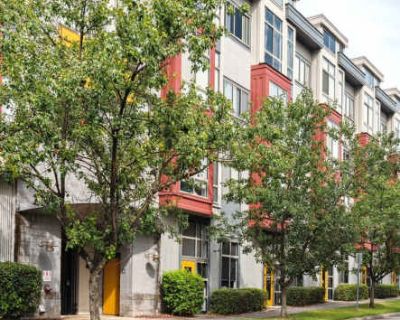 1 Bedroom 1BA 0 ft Pet-Friendly Apartment For Rent in Charlotte, NC