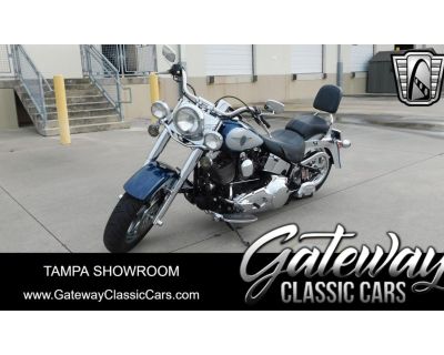 2001 Harley-Davidson Softail Manual Transmission