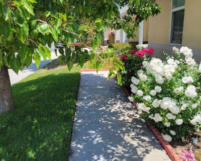 Joanne mantoen (Has a House). Room in the 1 Bedroom 1BA House For Rent in Murrieta, CA