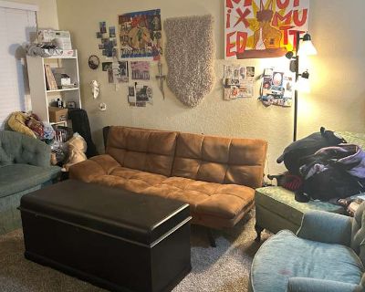 Private room with shared bathroom in an apartment with 1 roomie, Denton, TX 76201