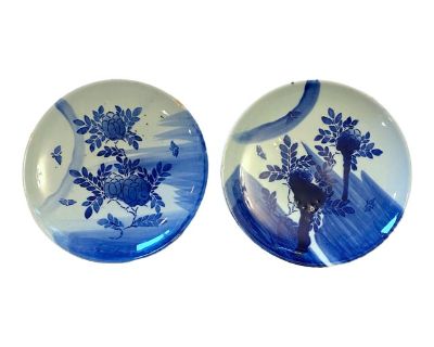 Antique Japanese Edo 19th Century Pair of Blue and White Plates