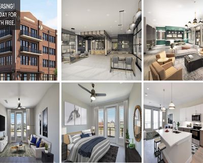 2 Bedroom 2BA 1066 ft Furnished Pet-Friendly Apartment For Rent in Frisco, TX