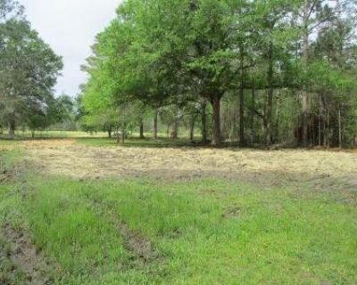 Foreclosure Property in Ray City, GA 31645 - Lakeview Dr