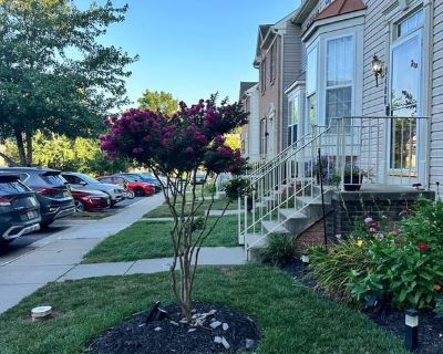 Total rooms: 2. Deposit: $850.00 * Utilities included?: Yes * Fees apply?: No. References required. No preference. Non-smoking. Not for couples. Age preference: 24. Furnishings: Furnished * Parking: No * Garage: No * Yard/patio: No * Balcony/roof terrace: Yes * Disabled access: No * Living room: No * Broadband included: Yes. Availability Available Now Minimum term 12 months Maximum term 36 mont...