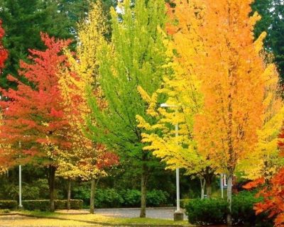 DK Property Evaluations