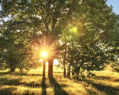 Lots and Land For Sale in Garwood, TX