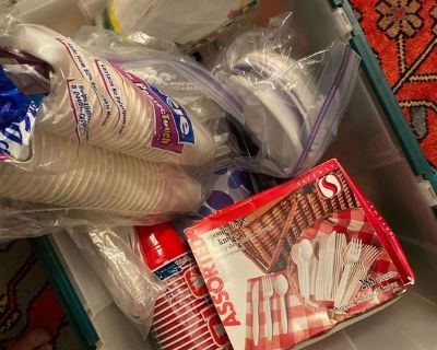 Lg box disposable picnic supplies