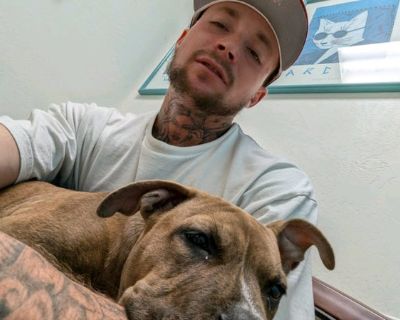 $900 /month. Age: 27 * Any pets?: No * Occupation: Professional * Gender: Male. Non-smoking room preferred. Pets are fine. No preference specified. Age preference: 18 - 99. Looking in: Deer Valley , North Mountain , Paradise Valley , Scottsdale. I am a professional male aged 27. I am looking for a small or large room. I am available to move from 10/23/2025 and have a budget of $900/month. I wou...