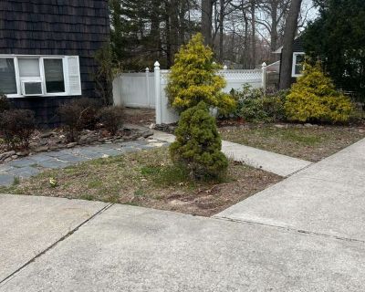 Cem Isbilir (Has an Apartment) on iROOMit. Room in the 1 Bedroom 1BA Pet-Friendl...