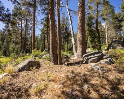 Lots and Land For Sale in Soda Springs, CA