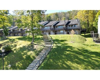 4 Bedroom 2BA 1700 ft² Furnished Residential For Sale in Ellicottville, NY