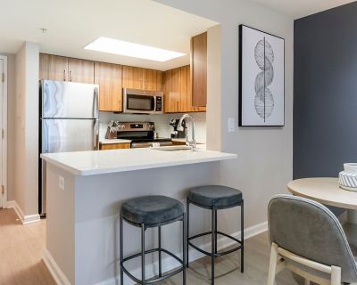 1 Bedroom 1BA 1071 ft Furnished Pet-Friendly Apartment For Rent in Washington, DC