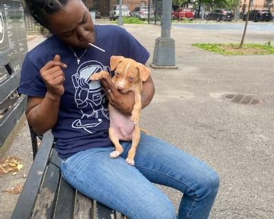 I'm a 39 yr old single Mother with a part time job at UPS and I own a 1 yr old pitbull. My daughter is 18 on her way to college and my brother will be living with me and he also has a part time job at UPS. We've been at the job for over 6 years. Just need a place to live as soon as possible.