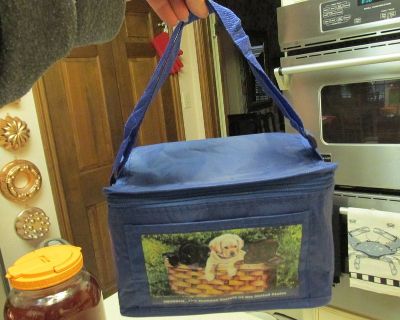 New Insulated Lunch Carrying Case