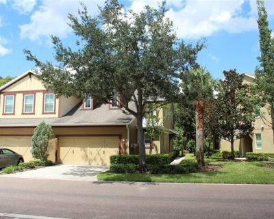 131 Villa Preserve Ave. Don't miss out on this UPDATED Townhome for rent in a GATED pool community within the Steinbrenner High School district! Discover comfort and convenience in this beautifully updated 3 bedroom townhome with a primary suite located on the FIRST FLOOR. Enjoy features like a walk in closet in the primary and upgrades such as newer appliances, washer/dryer, water included and...