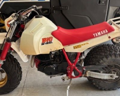 1987 Yamaha Big Wheel 350