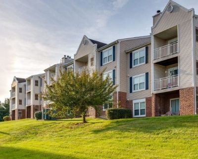 Elme Manassas. image_url. Elme Manassas apartments start at $1,774/month. There are 12 available apartments priced from $1,774 to $2,043. Prices were last verified by Elme Manassas 1 hour ago. Studio 1 Bedroom 2 Bedrooms 3 Bedrooms Never miss a deal! Get immediate alerts when prices drop or new units arrive. Turn on alerts Willow - A1A 1 Bed 1 Bath 714 sqft Starting at $1,783 Available 2. Pets ...