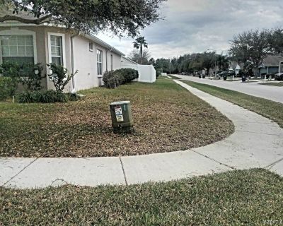 Grass cutting services in Tampa Citrus Park Carrollwood.
