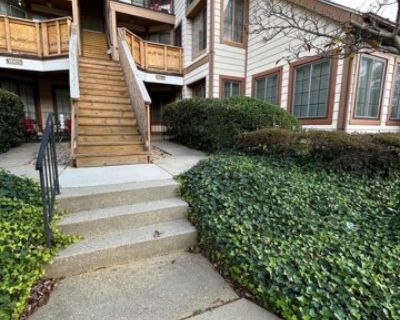 14103-E Lauren Ln Unit 14E. Totally renovated 2 bedroom 2 bath with LOFT condo located in sought after Laurel Lakes. Within walking distance to shops and public transportation. Hardwood floors throughout and carpet in the loft area. Don't miss out on this stunning fully upgraded condo. 620+ credit Score $84,600 Income, Excellent Rental history. Section 8 welcome to apply. All Chances Are Realty...