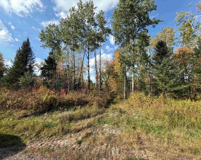 Lots and Land For Sale in Lily, WI