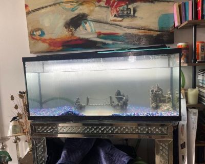 55 Gallon Fish Tank Aquarium with $$$ Accessories 48x21x13 in FISH AQUARIUM