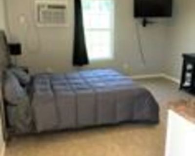 1 Bedroom 1BA 0 ft Furnished Pet-Friendly Apartment For Rent in Sulphur, LA