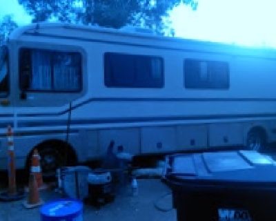1995 Fleetwood Bounder Motorhome