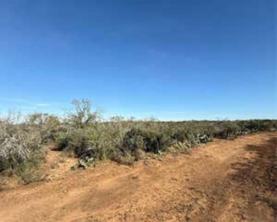 Land For Sale in JOURDANTON, TX