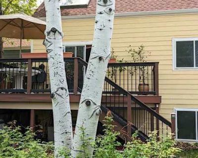 Private room with own bathroom in a House with 1 roomie, Boulder, CO 80301