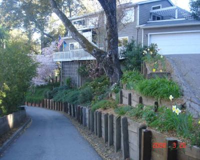 Furnished Mountain Oasis in Felton!. image_url. Patio / balcony Cats allowed Bbq/grill Internet access Furnished Unit Amenities furnished patio / balcony Property Amenities bbq/grill internet access cats allowed. Pets allowed. 3 Bedroom. 3 Bathroom. 2000 ft . Furnished