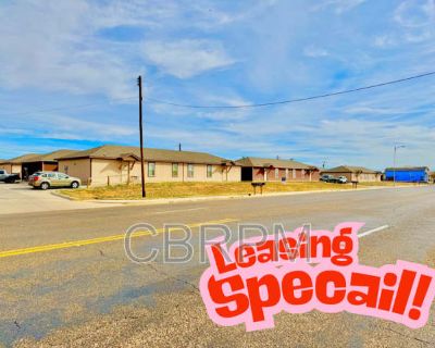 3 Bedroom 1BA 963 ft Pet-Friendly Apartment For Rent in Lubbock, TX