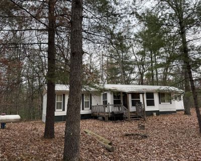 2 Bedroom 1BA 570 ft Single Family House For Sale in Irons, MI