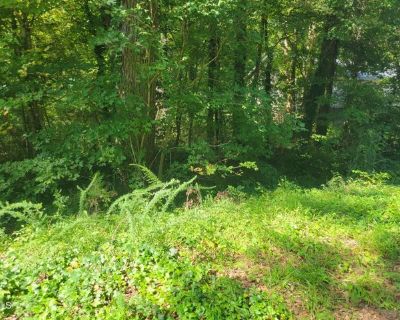 Fitch Dr Lot,mebane, Plot For Sale