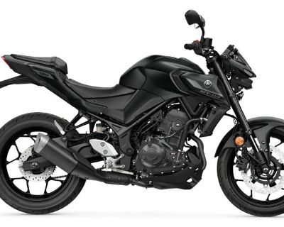 2025 Yamaha MT-03 Sport Hobart, IN