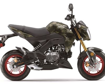 2025 Kawasaki Z125 Pro Sport Jamestown, NY