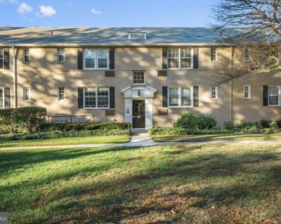 1 Bedroom 1BA 651 ft Apartment For Rent in Arlington, VA