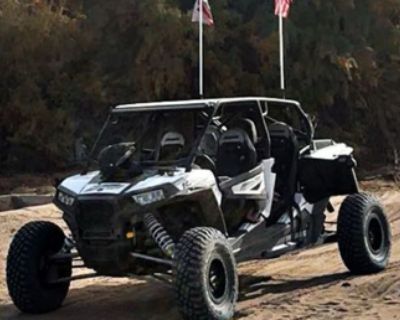 2015 Polaris RZR 1000 XP4