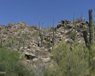 Land For Sale in Oro Valley, AZ