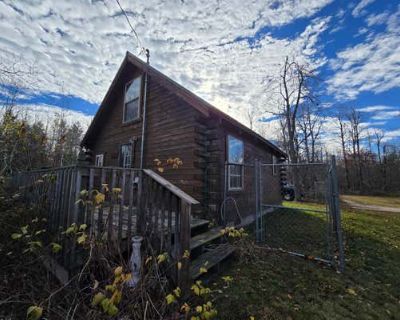 1 Bedroom 1BA 480 ft Single Family Home For Sale in MIO, MI