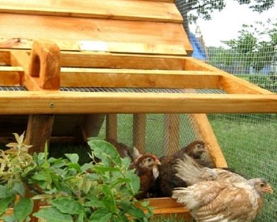 ON SALE- Beautiful Affordable Chicken Coops Hen Houses for Lancaster, PA area