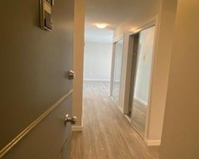 $1750 Newly Renovated 1 Bedroom Suite Downtown Victoria