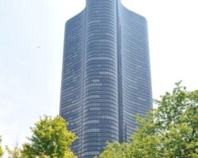 N Lake Shore Dr Apt,chicago, Condo For Rent
