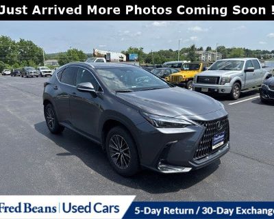 Used 2024 LEXUS NX 350 Premium For Sale Langhorne PA T50090S | Fred Beans Ford of Langhorne