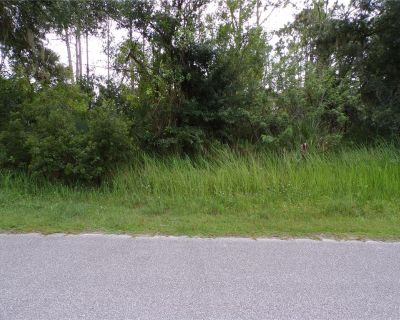 Lots and Land For Sale in Port Charlotte, FL