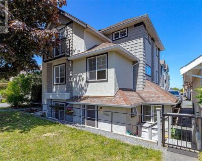 Lower duplex for rent