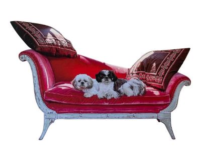 “At Home With Dogs and Their Designers” Book
