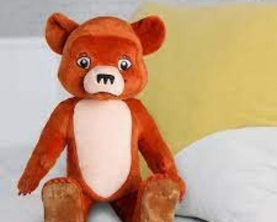 Little Bear from TV