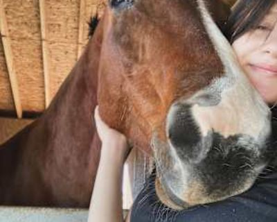 Maleiah, 19 years, Female. Looking in: Tomball, Harris County, TX